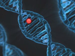 Unlocking the Secrets of Your Health: The Ultimate Guide to Colon Cancer Genetic Testing