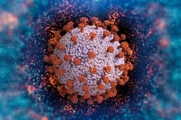 common infectious diseases